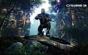 Crysis 3 New 2013 wallpaper thumb