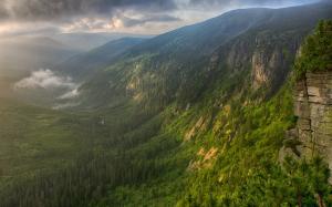 Mountains, forest, valley, mist, morning wallpaper thumb