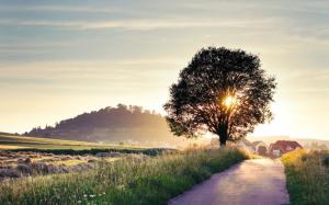 Summer landscape, road, tree, house, sunrise, light rays wallpaper thumb
