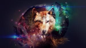 Abstract design, wolf, collage, space, colorful wallpaper thumb