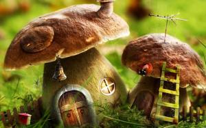 Mushrooms-house wallpaper thumb