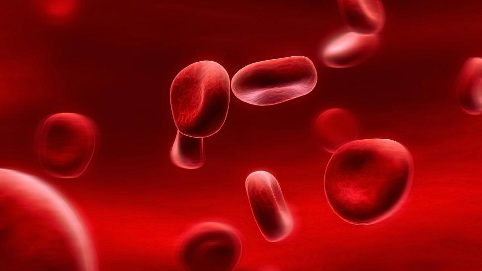Red blood cells wallpaper,Red HD wallpaper,Blood HD wallpaper,Cell HD wallpaper,1920x1080 wallpaper