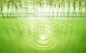 Green water ripple wallpaper thumb