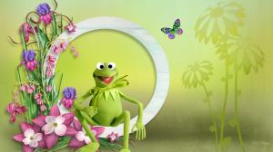 How Green Is Frog wallpaper thumb