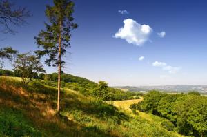 England hills with trees wallpaper thumb