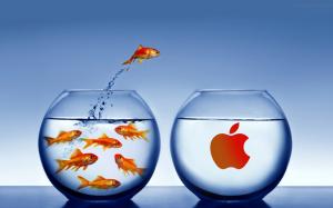 widescreen mac desktop fishing for fun Mac fish Water Abstract Jump grounp swim Apple Tank tank Glas HD wallpaper thumb