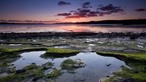 Sunset In Low Tide wallpaper thumb