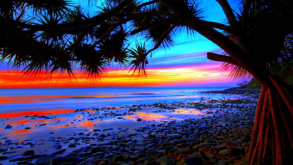 Palm On Beach Sunset s wallpaper,on beach HD wallpaper,palm HD wallpaper,sunset HD wallpaper,1920x1080 wallpaper