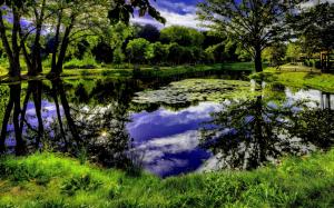 Beautiful nature, trees, grass, sky, clouds, pond, art pictures wallpaper thumb