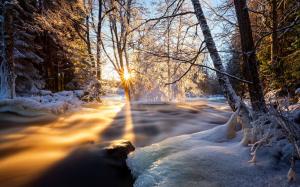 Winter, trees, river, ice, snow, sunset wallpaper thumb
