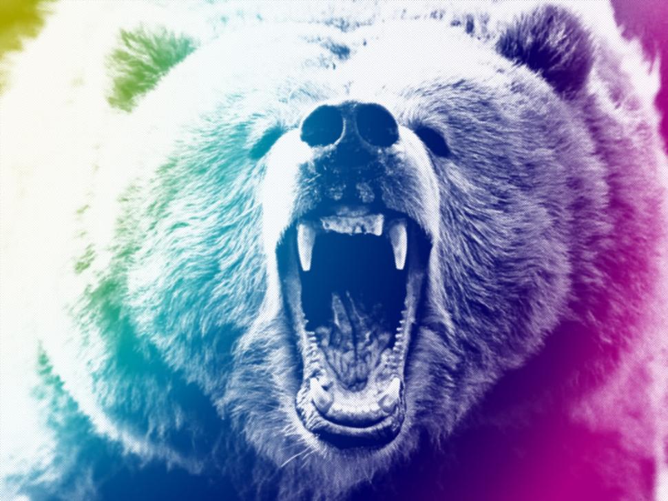 Bear Grizzly Bear HD wallpaper,animals wallpaper,bear wallpaper,grizzly wallpaper,1600x1200 wallpaper