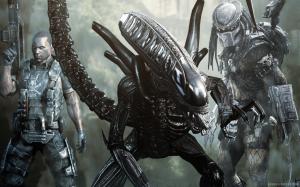 Aliens vs Predator Game wallpaper thumb