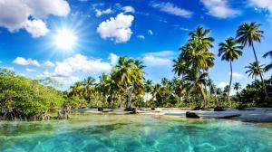 Beautiful scenery, tropics, beach, palm trees, sea, sunlight wallpaper thumb