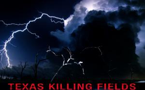 Texas Killing Fields Poster wallpaper thumb