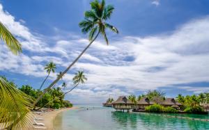 Beach, sea, resort, house, palm trees, tropical wallpaper thumb