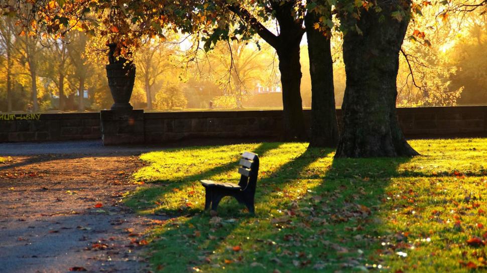 Park benches, grass, leaves, fall, evening, quiet, scenery wallpaper,park benches HD wallpaper,grass HD wallpaper,leaves HD wallpaper,fall HD wallpaper,evening HD wallpaper,quiet HD wallpaper,scenery HD wallpaper,1920x1080 wallpaper