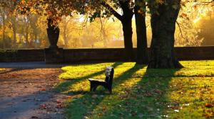 Park benches, grass, leaves, fall, evening, quiet, scenery wallpaper thumb