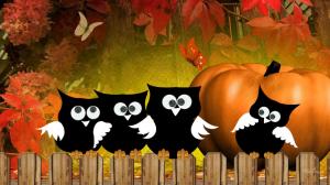 Hootie Autumn Owls wallpaper thumb