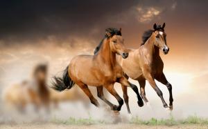 Running Horses wallpaper thumb
