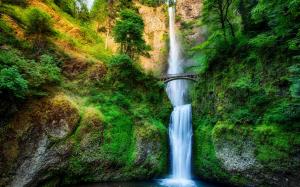 Oregon, USA, waterfall, stream, forest, trees, bridge, rock wallpaper thumb