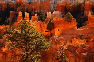 Parks Usa Bryce Canyon Utah Nature High Quality wallpaper thumb