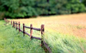 Nature landscape, fence, grass, blur background wallpaper thumb