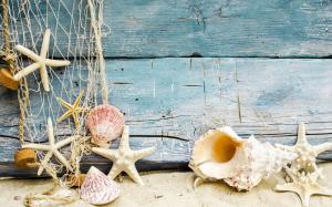 Seashells, starfish, sand, wood wallpaper thumb
