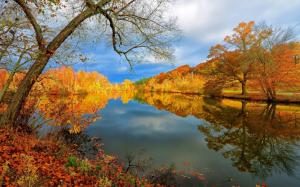 Lake Autumn Nature Landscape Reflection Trees Sky HD Resolution wallpaper thumb