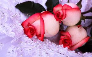 Wedding Roses wallpaper thumb