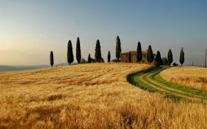 Italy, autumn landscape, wheat fields, trees, house wallpaper thumb