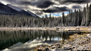 Trees Forest Winter Lake Reflection HD wallpaper thumb