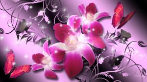 Orchids Luxury wallpaper thumb