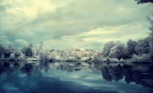 Winter, Lake, Trees, Frost, Nature, Landscape wallpaper thumb