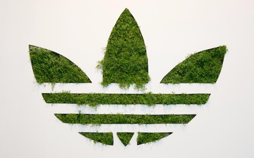 Adidas Green Logo wallpaper,green logo HD wallpaper,eco adidas HD wallpaper,adidas brand HD wallpaper,1920x1200 wallpaper