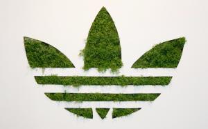 Adidas Green Logo wallpaper thumb
