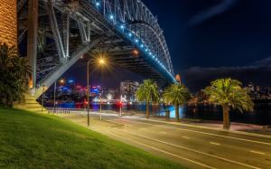 Australia, Sydney, night, bridge, river, lights, palm trees wallpaper thumb
