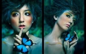 ★..blue Butterflies..★ wallpaper thumb