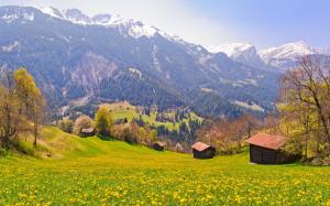 Switzerland, fields, trees, mountains, slopes, village wallpaper thumb