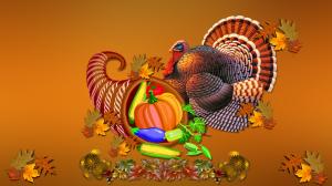Thanksgiving Day Turkey  Hi Resolution Image wallpaper thumb
