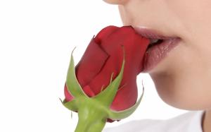 Kiss ? Rose wallpaper thumb