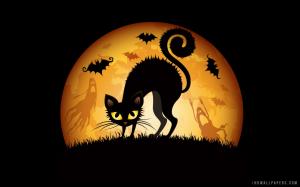 Cats & Bats in Halloween wallpaper thumb