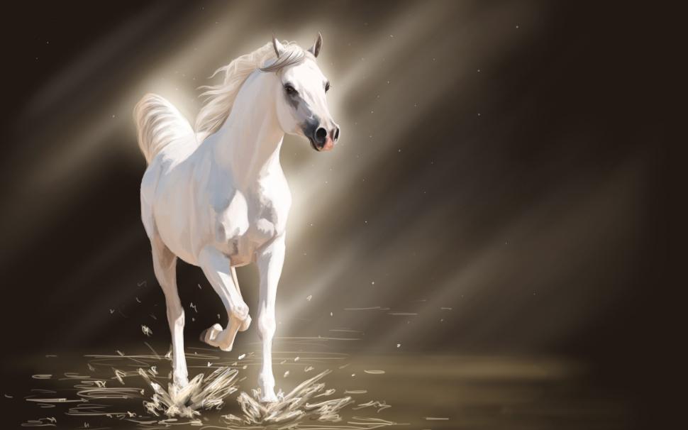 White Young Horse wallpaper,horses HD wallpaper,white horse HD wallpaper,2880x1800 wallpaper