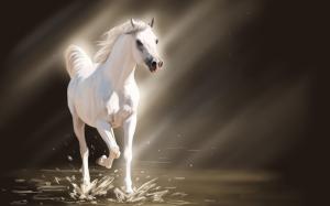White Young Horse wallpaper thumb