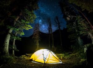 Landscape, Camping, Milky Way, Light, Forest, Starry Night wallpaper thumb