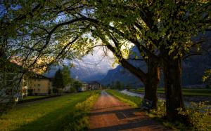 Switzerland, town, spring, trees, road, bench, houses, mountains wallpaper thumb