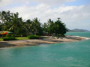 daydream island Australia clear water holiday jetskis palms tropical HD wallpaper thumb