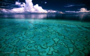 Great Barrier Reef Australia  Laptop Backgrounds wallpaper thumb