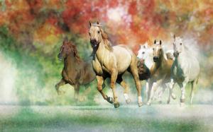 Awesome Animals Horse wallpaper thumb
