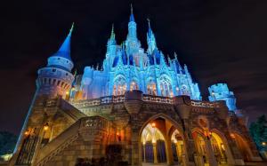 Disney castle at night wallpaper thumb
