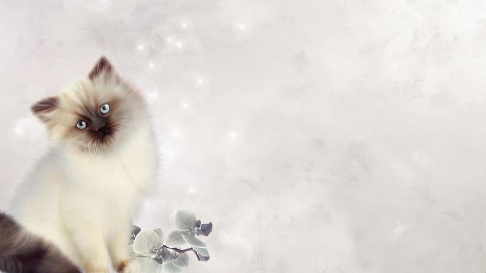 Elegant Kitten wallpaper,feline HD wallpaper,kitten HD wallpaper,flower HD wallpaper,cute HD wallpaper,animal HD wallpaper,animals HD wallpaper,2560x1440 wallpaper